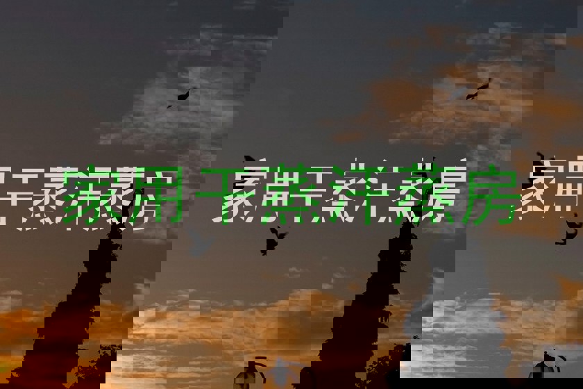 家用干蒸汗蒸房