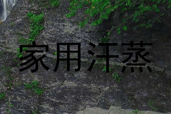 家用汗蒸