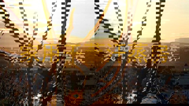 家用干蒸汗蒸房