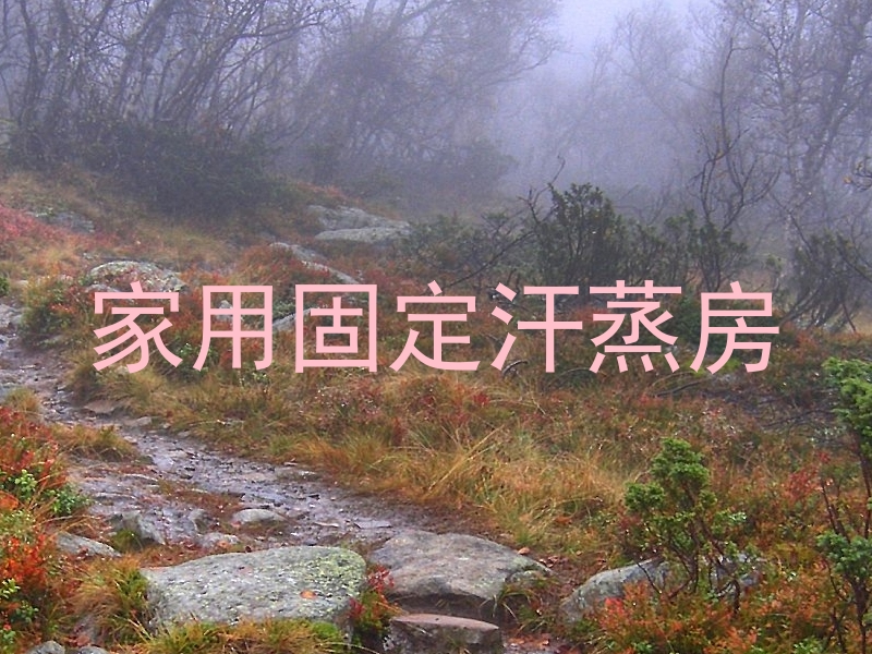 家用固定汗蒸房