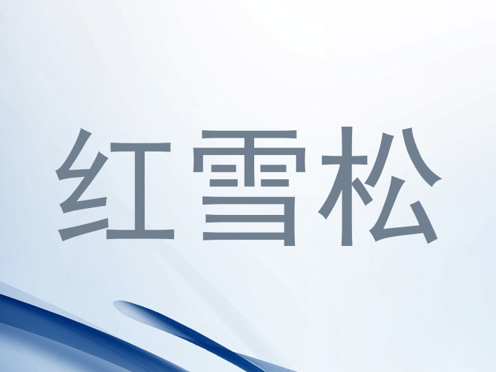 红雪松