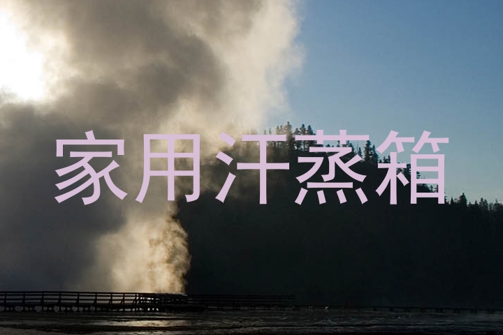 家用汗蒸箱
