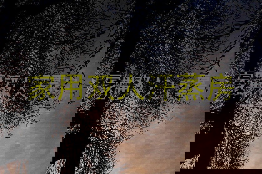 家用双人汗蒸房