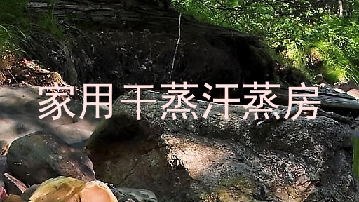 家用干蒸汗蒸房