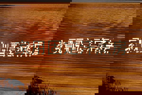 家用固定汗蒸房