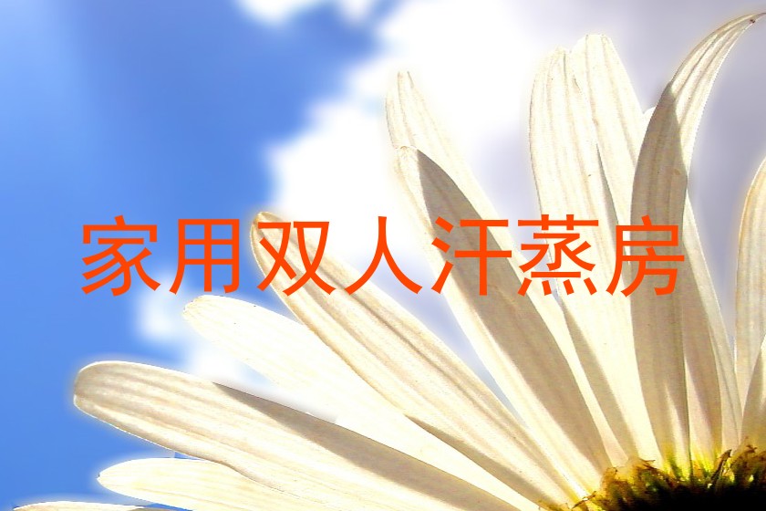 家用双人汗蒸房
