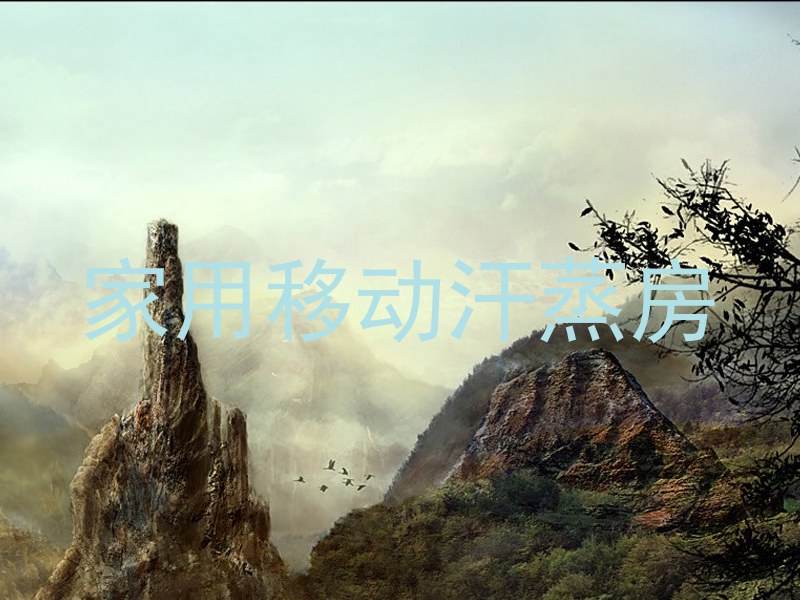 家用移动汗蒸房