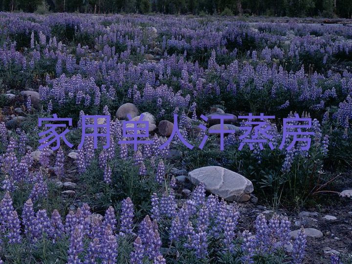 家用单人汗蒸房