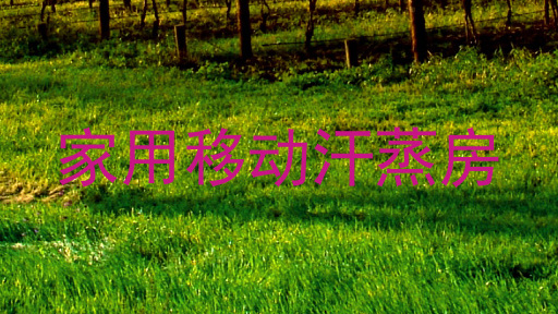 家用移动汗蒸房