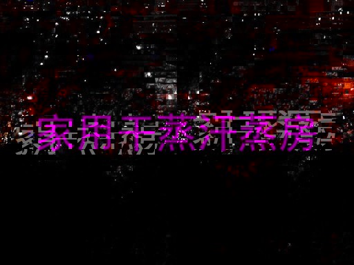 家用干蒸汗蒸房