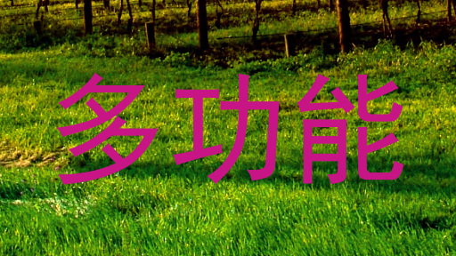 多功能