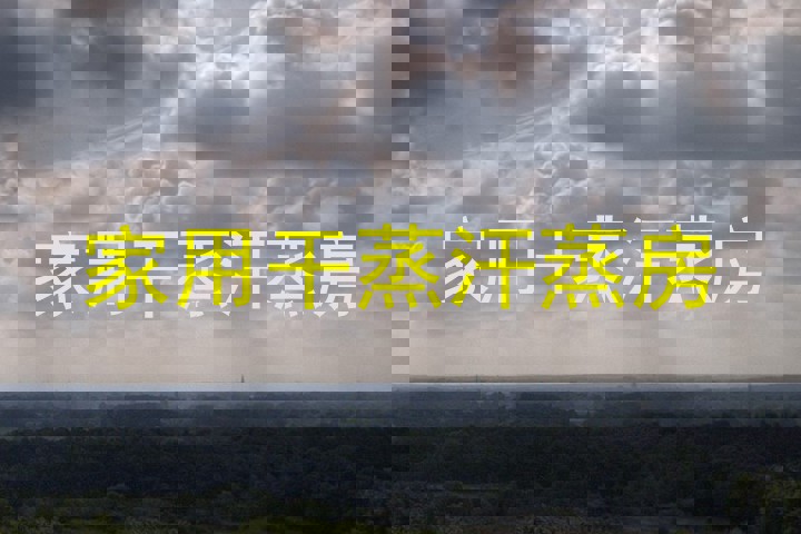 家用干蒸汗蒸房