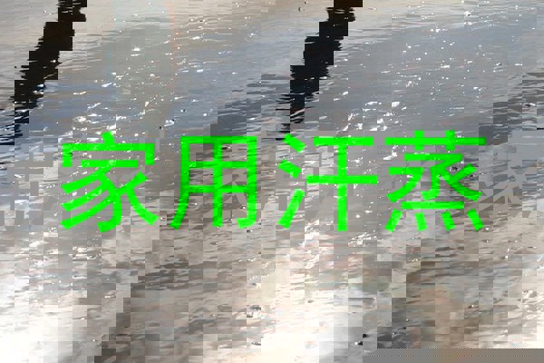 家用汗蒸