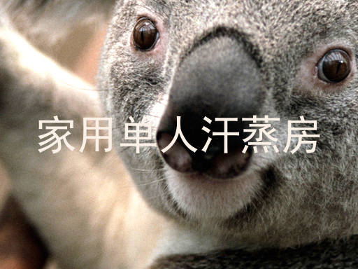 家用单人汗蒸房