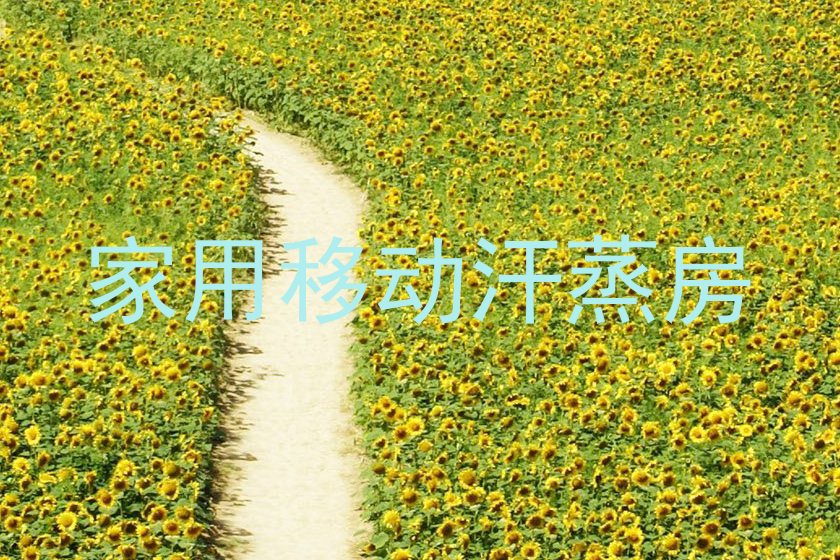 家用移动汗蒸房