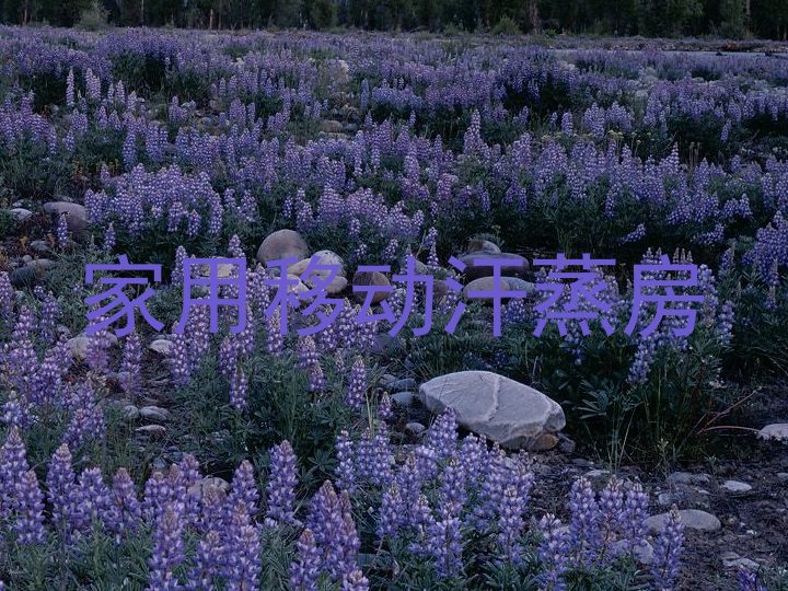 家用移动汗蒸房