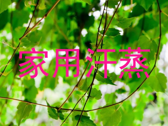 家用汗蒸