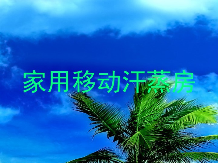 家用移动汗蒸房