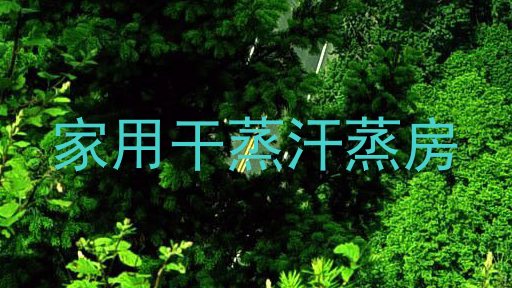 家用干蒸汗蒸房