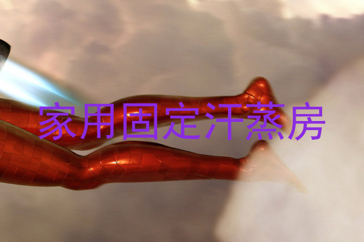 家用固定汗蒸房