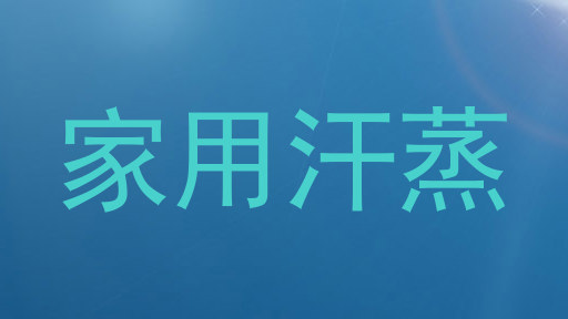 家用汗蒸