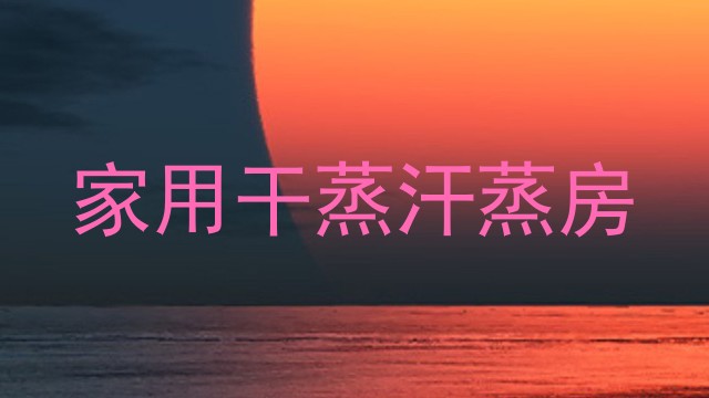 家用干蒸汗蒸房