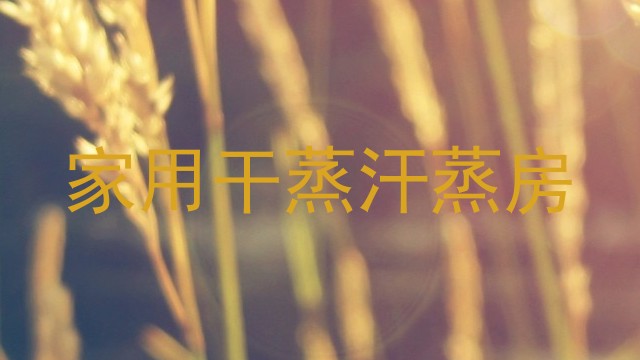 家用干蒸汗蒸房