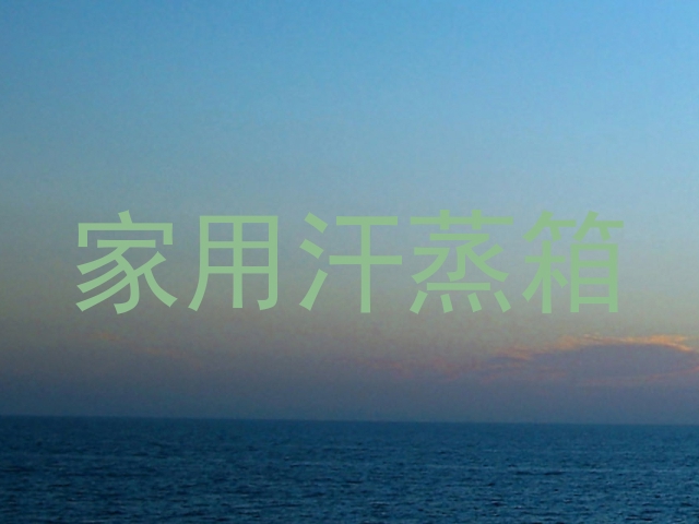 家用汗蒸箱