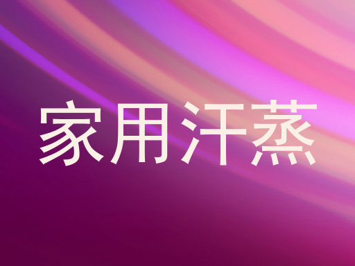 家用汗蒸
