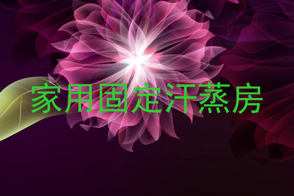 家用固定汗蒸房