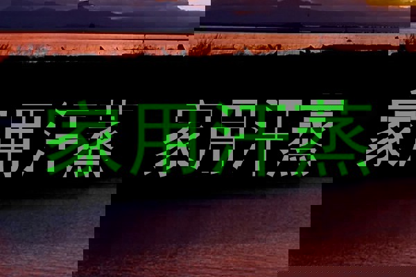 家用汗蒸