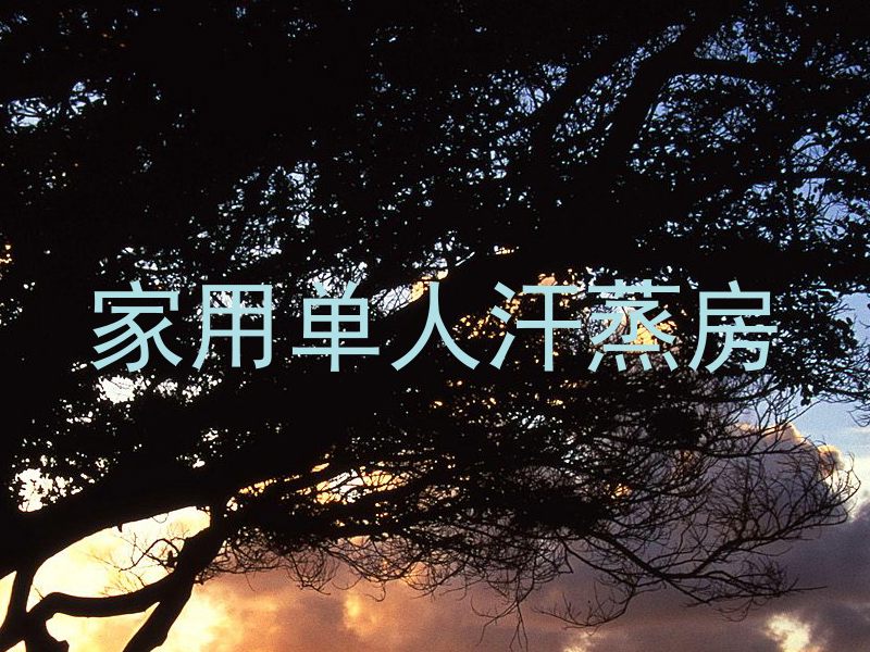 家用单人汗蒸房