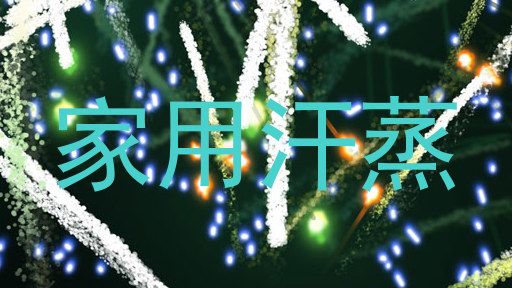家用汗蒸