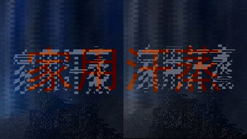 家用汗蒸