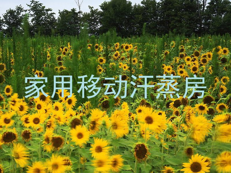 家用移动汗蒸房