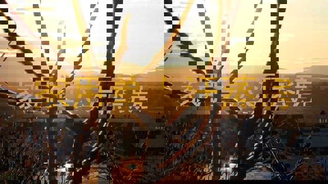 家用单人汗蒸房