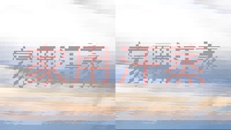 家用汗蒸