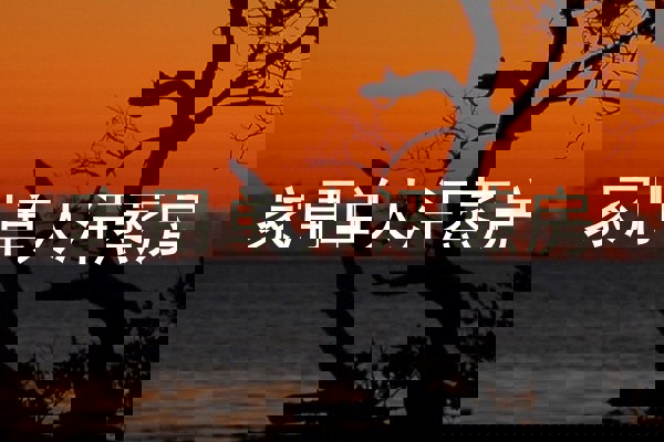 家用单人汗蒸房