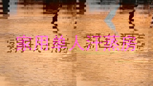 家用单人汗蒸房