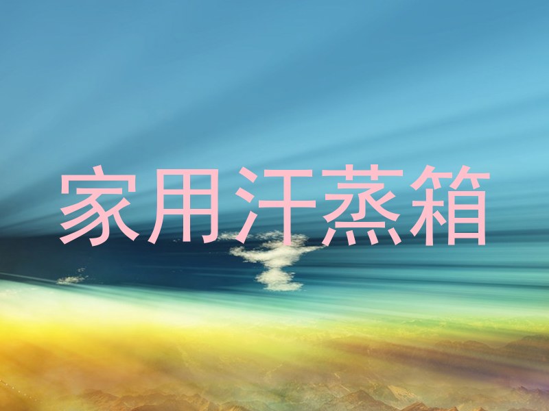 家用汗蒸箱
