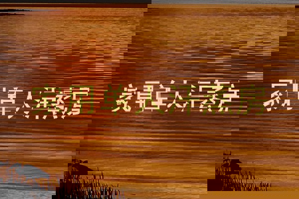 家用单人汗蒸房