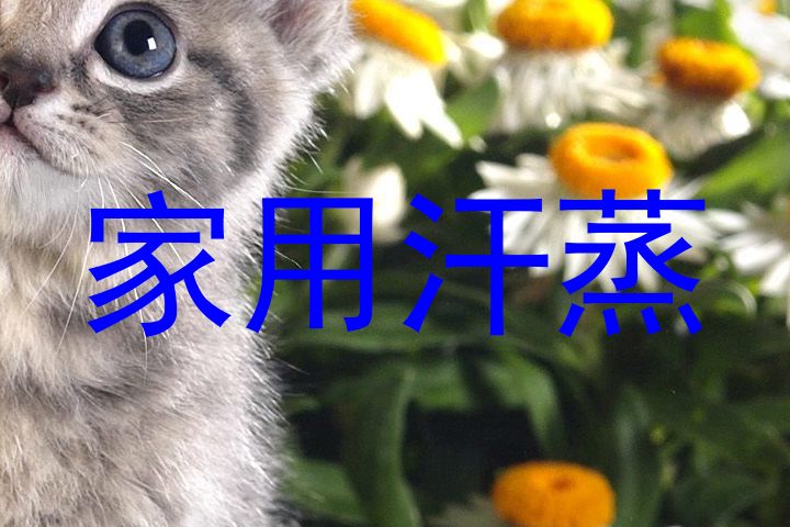 家用汗蒸