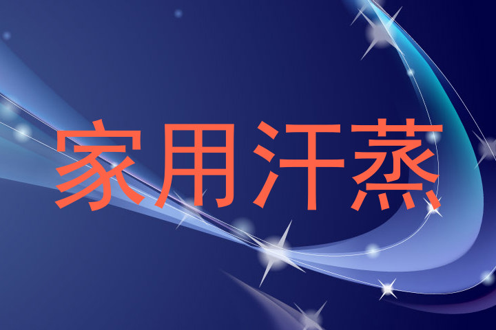 家用汗蒸