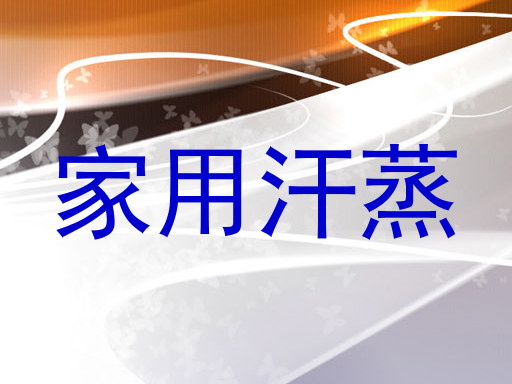 家用汗蒸