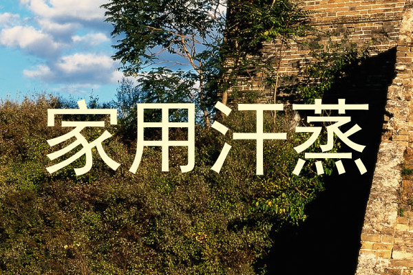 家用汗蒸