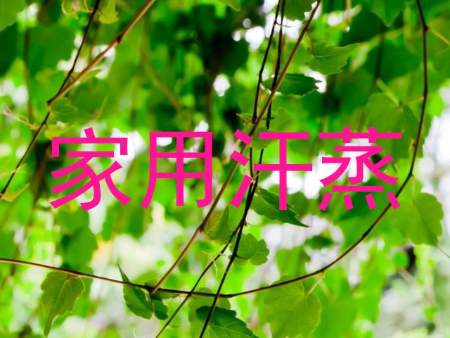 家用汗蒸