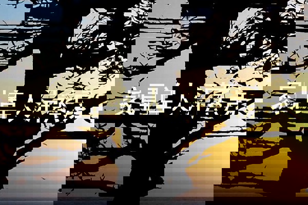 家用单人汗蒸房