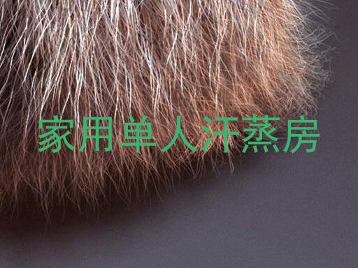 家用单人汗蒸房