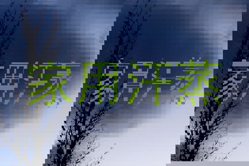 家用汗蒸