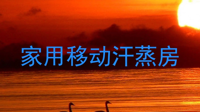 家用移动汗蒸房